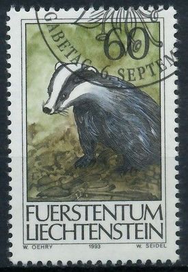 Liechtenstein 1993 Nr 1066 gestempelt SB45D4E