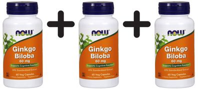 3 x NOW Foods Ginkgo Biloba, 60mg - 60 vcaps