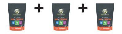 3 x Sunwarrior Active HMB + Creatine (240g)