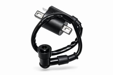 Zündspule Spule Zündkerzenstecker Zündung ignition passt an Yamaha Pw 50 88-14