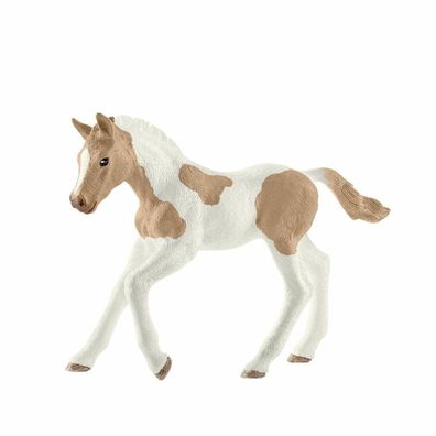 Horse Club Paint Horse Fohlen