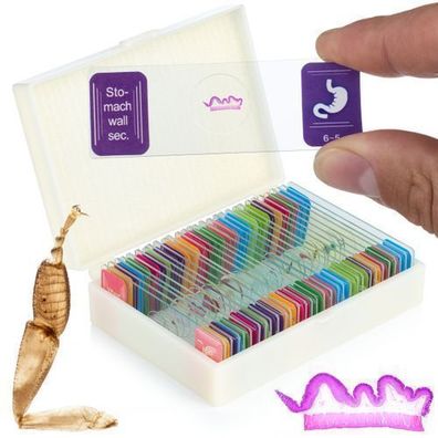 Rosfix Mikroskopische Präparate Set – 30 Stück Glas | Pflanzen & Tiere