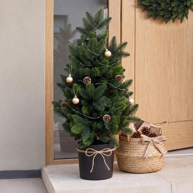 Weihnachtsbaum HWC-R29, Kunstbaum Kunstpflanze, Outdoor Polyethylen, 55cm
