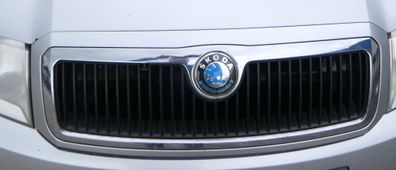 Fabia 6Y Zeichen Kühlergrill Grill Gitter 6Y0853668 silber grau LF7T Logo