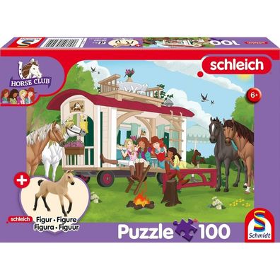 Puzzle Horse Club, Hannoveraner Fohlen