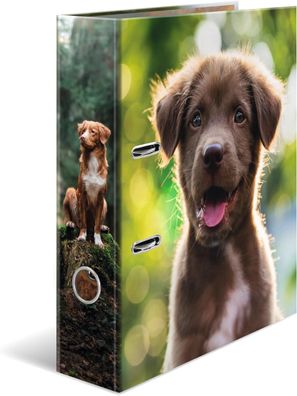 HERMA 20098 Ordner A4 Hund, 7 cm breit, Kinder Ringordner mit Tier Motiv, bunter Akte