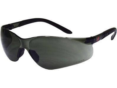 Vision Protect Schutzbrille Gestell schwarz, Sichtscheiben sehr dunkel