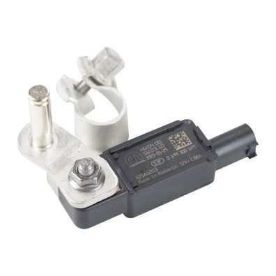 Original Steuergerät für die Batterie 52258599