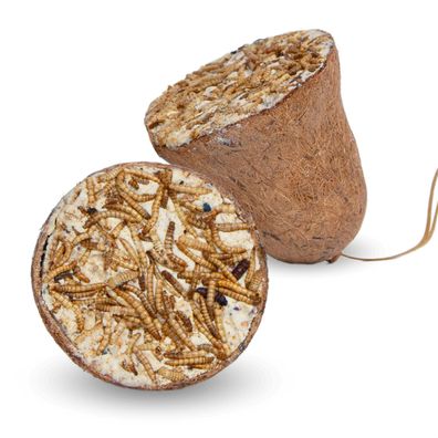 8 - 24 Stk. Lyra Pet® Protein Boost Futterglocke mit Mehlwürmern