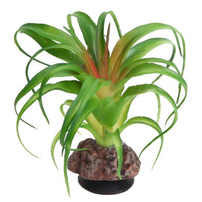 Hobby Terra Succulent 3 - Höhe 10cm