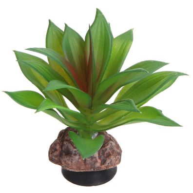 Hobby Terra Succulent 2 - Höhe 10cm