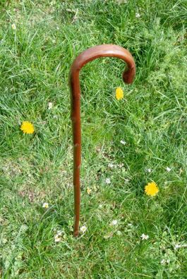 Wanderstock / Gehstock für Kinder und Erwachsene / (Länge) 85 - 90 cm