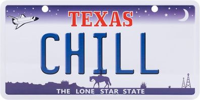USA Kennzeichen Blech, GR8CAR, CHILL , TEXAS , (5)