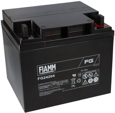 FIAMM FG24204 Standard AGM Bleiakku 12V 42Ah M6-Schraubanschluss
