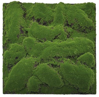 JANGAL Modular Wall Pflanzenwand 520 x 520 mm Design Moos Forest Green Big Bulk