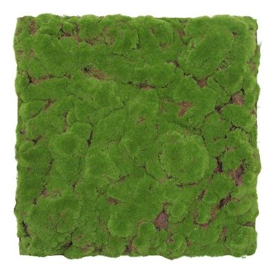 JANGAL Modular Wall Pflanzenwand 520 x 520 mm Design Moos Forest Green Bulk