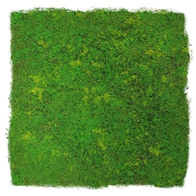 JANGAL Modular Wall Pflanzenwand 520 x 520 mm Design Moos Light Green Fibre
