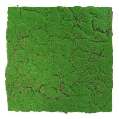 JANGAL Modular Wall Pflanzenwand 520 x 520 mm Design Moos Forest Green Moos