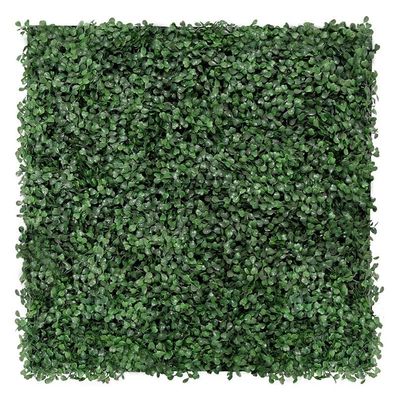 JANGAL Modular Wall Pflanzenwand 520 x 520 mm Design Flora Dark Green Buxus