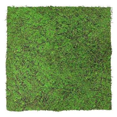 JANGAL Modular Wall Pflanzenwand 520 x 520 mm Nature Design Forest Green Tree