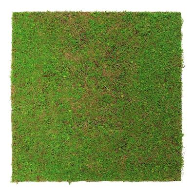 JANGAL Modular Wall Pflanzenwand 520 x 520 mm Nature Design Light Green Coconut