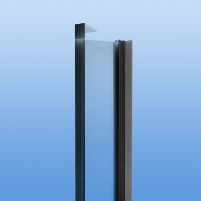 Zugluftstopper + Bürstendichtung Schiebewand Türdichtung / 10mm ESG Anthrazit