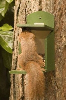 Futterhaus für Eichhörnchen