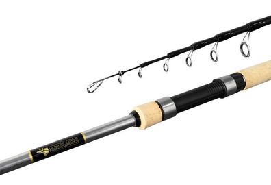Delphin Aztec tele -Spinnrute - Länge 180 cm WG 10-30g