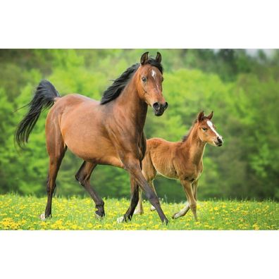 TREFL Puzzle World of Horses: Stute mit Fohlen 54 Teile