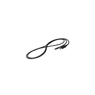 Eizo Kabel USB-C -> DisplayPort Signal Kabel 2m black