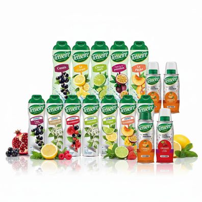 Teisseire Sirup 6 x 600ml Sparpack - verschiedene Sorten