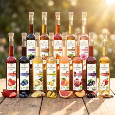 Likör Probierset 12 x 100 ml 11 Sorten Bio Miniaturen Tasting Set vegan Geschenkset