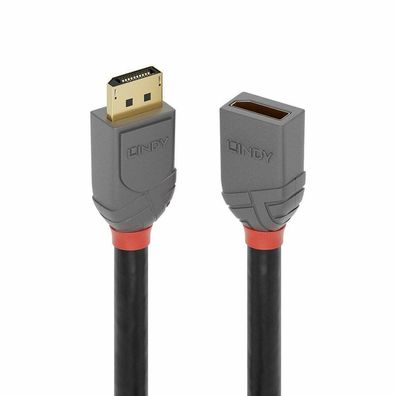 Lindy LINDY DisplayPort 1.4 Verlängerungskabel 1m, Anthra Line