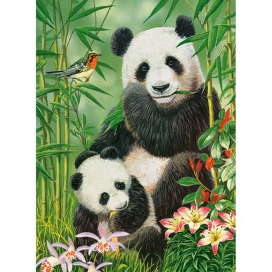 Castorland Panda Brunch Puzzle 1000 Teile
