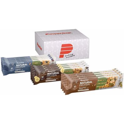 PowerBar Natural Protein - 480g
