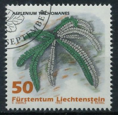 Liechtenstein 1992 Nr 1046 gestempelt X151F96