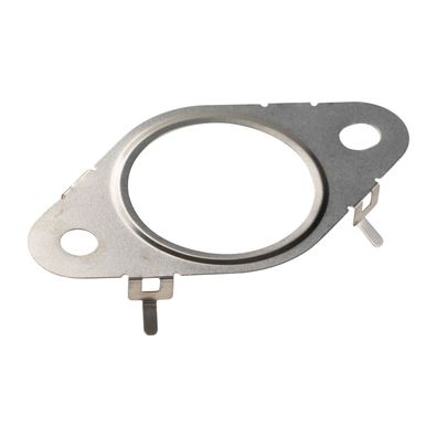 AGR Dichtung 55250494