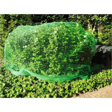 Grüner Jan Vogelschutznetz 8x8 Meter
