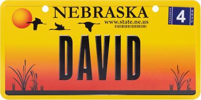 USA Kennzeichen mit Namen, Blechschild, DAVID , Nebraska , (25)
