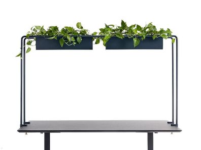 APTO Schreibtisch Halterung für Blumenkästen 160x80x2cm mit Tischklemmen, marine
