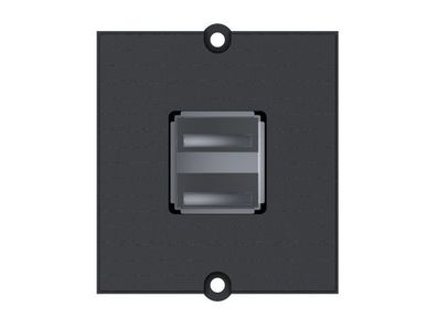 Bachmann Custom Modul 2x USB 2.0 A/A schwarz (917.141)