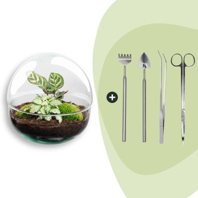 Flaschengarten - Dome Rake + Shovel + Tweezer + Scissors - Ø20cm - 20cm - Ökosys