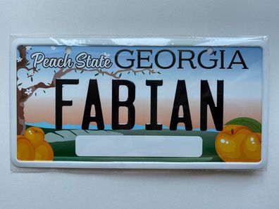 USA Kennzeichen mit Namen, Blechschild, FABIAN , Georgia , (32)