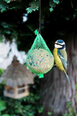 Meisenknödel 6er Set Naturnahrung Wildvögel