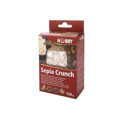 Sepia Crunch Sepiaschale (EUR 12,49 / 100 g)