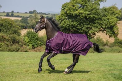 Pony Freedom Turnout 150g Saison