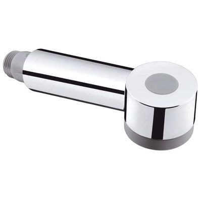 hansgrohe Ausziehbrause für Talis S Küchenmischer, Chrom