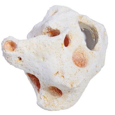 Hobby Cavity Rock 4 - Dekoration für Aquarium und Terrarium