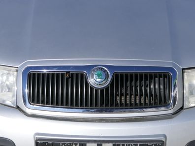 Skoda Fabia 6Y Zeichen Kühlergrill Grill Gitter 6Y0853668B silber grau LF7T Logo