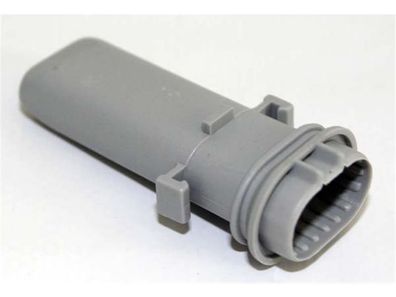 Düse AEG 1523171005 1523171104 Electrolux Zanussi